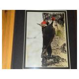 Lot of (5) Bird theme Art Work - Joyce Kleven -