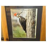 Lot of (5) Bird theme Art Work - Joyce Kleven -