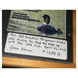 Lot of (5) Bird theme Art Work - Joyce Kleven -