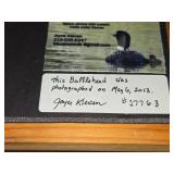 Lot of (5) Bird theme Art Work - Joyce Kleven -