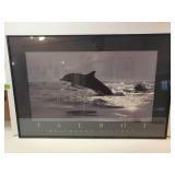 Talbot Delphius Delphis Dolphin Framed Poster
