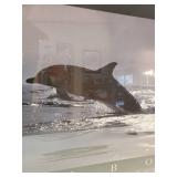 Talbot Delphius Delphis Dolphin Framed Poster
