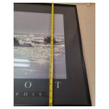 Talbot Delphius Delphis Dolphin Framed Poster