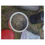 Lot of Bird feeders and bird seed