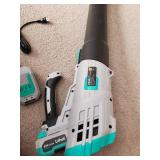 Barely used Litheli Leaf Blower Battery Operated with charger