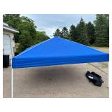 EZ-Up 10 x 10 Portable Canopy