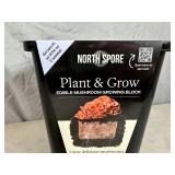 New North Spore Plant and Grow Edible Mushroom Growing Block - Pink Oyster