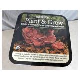 New North Spore Plant and Grow Edible Mushroom Growing Block - Pink Oyster