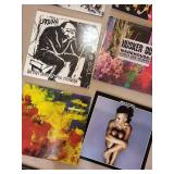 Assorted Alternative Rock Vinyl Record Albums Mixed Lot