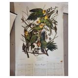 Strathmore Newsprint Pad & Assorted Bird Prints Mixed Lot