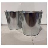 2 Pack Metal Pails with Handle - 10 Liter - great for holiday parties, crafters, winter decorations, potting penitential trees or plants