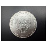 2016 Beautiful Toned Uncirculated 1 Oz. Silver American Eagle