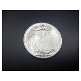 1990 Beautiful Uncirculated 1 Oz. Silver American Eagle