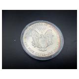 1991 Toned Uncirculated 1 Oz. Silver American Eagle