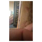 Lot of Vintage Books