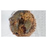 Pheasant Feather Decorative Leaf