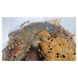 Pheasant Feather Decorative Leaf