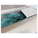 (2) Nearly Natural 3 ft. Artificial Indoor/Outdoor Mini Cedar Pine Tree