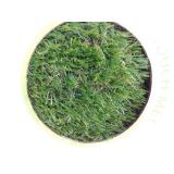 Nearly Natural 16.5 in. x 26.7 in. Indoor/Outdoor Dog Potty with Artificial Grass - 3-Layer Drainage Tray,UV-Resistant Pet Training Pad