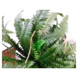 (2) Nearly Natural Large Artificial Boston Fern Hanging Basket