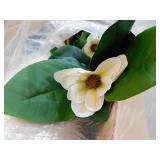 Garvee 7FT Artificial Magnolia Tree in White Planter Pot, Faux Plants Indoor Artificial Plants with 8-Pieces Magnolia Flowers