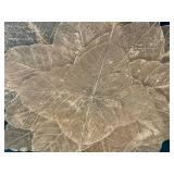 GBR - Framed Botanical Leaf Wall Art