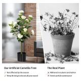 3FT Artificial Camellia Tree 2 Pack, Artificial Plants Outdoor Faux Floral Plant in Cement Pot Fake Silk Camellia Tree Plants for Home House Living Room Office Decor