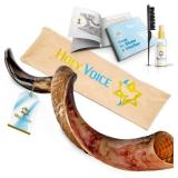 $230 Holy Voice Kosher Kudu Shofar Horn 40"-41" from Israel   Traditional Half-Polished Yemeni Shofar Includes Carrying Bag, Brush and Blowing Guide - Easy Blowing Ancient Jewish Musical Instrument