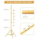 HYJ-INC 10ft x 7ft - Titanium Gold Adjustable Photography Backdrop Support System Photo Video Studio Background Stand Kit with Carry Bag for Portrait & Studio Photography