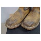 Irish Setter Marshall Men