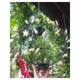 Hanging Star Globe Light Fixture