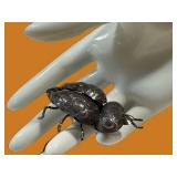 Sterling Silver Beetle Brooch Handcrafted