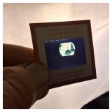 Slide Collection in case  Vintage 1950