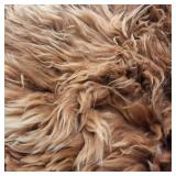 Amazing Alpaca Comforter