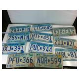 Large lot of Older Minnesota Plates: (11) plates total!