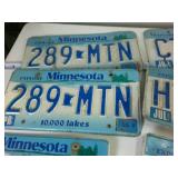 Large lot of Older Minnesota Plates: (11) plates total!