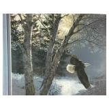 Framed Print: "Awakening" Bald Eagle - by Persis Clayton Weirs