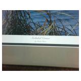 Framed Print: "Secluded Corner" by Maass