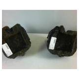 Two hand carved sitting black bears painted with gloss finish