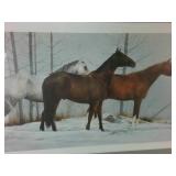 Sally Murray "Trio" Signed Limited Edition Panoramic Framed Horse Print