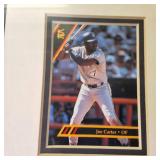 MEGA LOT :  Collector cards (framed and numbered) Authenticated! Pedro Martinez and more!