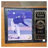MEGA LOT :  Collector cards (framed and numbered) Authenticated! Pedro Martinez and more!