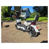 SDLANCH Two-Wheeled Electric Vehicle (EV)