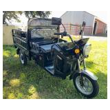 2026 SDLANCH Electric Tricycle (ET13) - Black