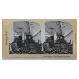 Stereoscope - American Girl Samantha
