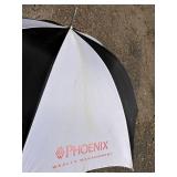 Phoenix Wealth Management Umbrellas and Lime Green Umbrella *S