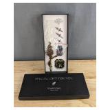 Vanguard Calligraphy Quill Pen and Ink Set - Brand New