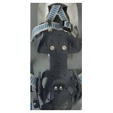 L.L. Bean Winter Walker 26" Aluminum Snowshoes