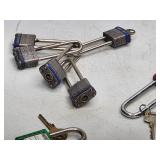 Assorted Locks with Keys