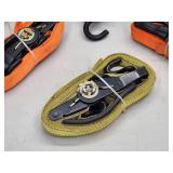 Assorted Cargo Ratchet Straps
